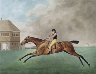 Baronet
